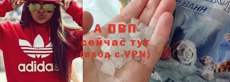 A PVP СК  Инсар 