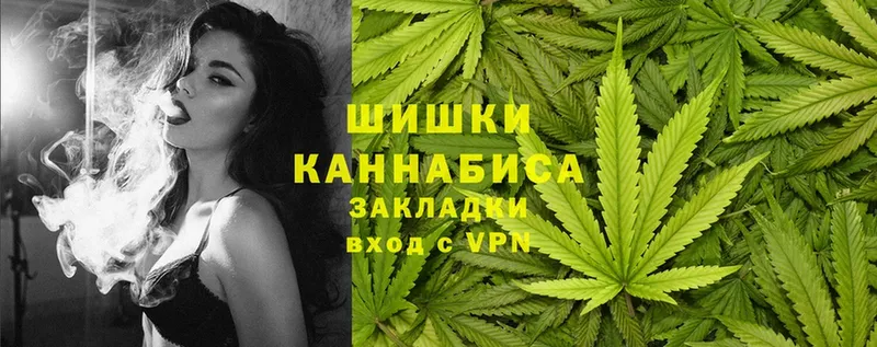 продажа наркотиков  площадка наркотические препараты  гидра tor  Конопля OG Kush  Инсар 